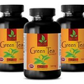 Green Tea Extract 300mg. Most Powerful Antioxidant. Immune Support (3 Bottles)