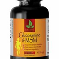 chondroitin sulfate - GLUCOSAMINE CHONDROITIN & MSM - Support Joint Health