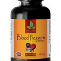 BLOOD PRESSURE SUPPORT - Healthy Arteries - Healthy Heart Diet Pills - 1 Bottle