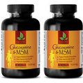 Glucosamine MSM Capsules - GLUCOSAMINE CHONDROITIN & MSM - Stronger Nails 2B