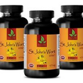 mood support - ST. JOHN'S WORT EXTRACT - natural pills - 3 Bottles