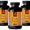 immune support - PROSTATE SUPPORT 1345mg - prostate support health - 3 Bottles