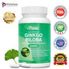 Ginkgo Biloba 500mg - Brain Health, Improve Memory, Enhance Cognitive Function