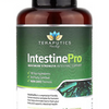Intestine Support Capsules - Premium Blend with Wormwood, Black Walnut, Echinace