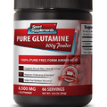 Wellness and Fitness - Pure GLUTAMINE Powder 4,500MG - l-glutamine Seeking Health - 1 Bottle (300g)