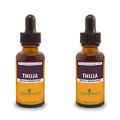 Herb Pharm Thuja Branchlet Liquid Extract - 1 Ounce (DTHUJA01) (Pack of 2)