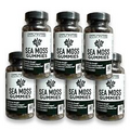 7 Pack, Sea Moss Gummies 3000mg, Irish sea Moss raw Bladderwrack Burdock Root