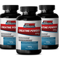 Organic Creatine Powder - Creatine Powder 100mg - Weight Gains and Strength with Pure Creatine Powder (3 Bottles)