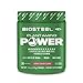 BIOSTEEL Plant-Amino Power BCAA Powder, Fermented Plant-Based Amino Acids, Non-GMO Formula, Berry Fusion, 30 Servings