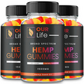Our Life Gummies - Official Formula (3 Pack)