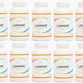 10 AUTHENTIC LifePharm Laminine 300 Capsules Total - Fresh & Sealed EXP 02/2026!