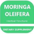 Moringa Oleifera Tincture - 4oz - Alcohol Free