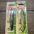 X2 Heddon Super Spook Topwater Fishing Lure for Saltwater and Freshwater Florida