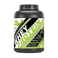Amazing Muscle 100% Whey Protein Powder *Advanced Formula with Whey Protein Isolate as a Primary Ingredient Along with Ultra Filtered Whey Protein Concentrate (Japanese Matcha, 5 Lb)