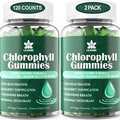 Sugar Free Chlorophyll Gummies - with Unfiltered ACV, 60 Count (Pack of 2)