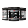 Bodybuilding supplements for men maximum strength - GERMAN CREATINE - Creatine workout powder, creatine monohydrate powder, workout supplements, post workout recovery, 1 Can 300g (60 servings)