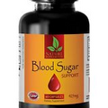 blood sugar balance - BLOOD SUGAR SUPPORT - blood sugar monitoring - 1 Bottle