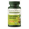Kanchanar Guggulu Tablets – Organic Lymph Supplement with Guggulu Resin – Pro...