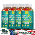 1-4×60pcs Sea Moss Gummies-Irish sea Moss raw Organic Bladderwrack Burdock Root