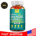 MX-2000mg Sea Moss Gummies - Irish sea Moss,Bladderwrack,Burdock Root 60 Gummy
