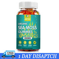 Organic Sea Moss Gummies 2000mg - Irish sea Moss,Bladderwrack,Burdock Root Gummy