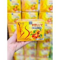 10x Tra Dao Giam Can - Peach tea Kelly Detox Herbal Tea Natural Weight Loss Tea