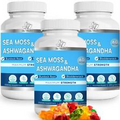 Sea Moss Ashwagandha Gummies - Organic Irish Seamoss & Ashwa Root Powder...