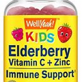 WellYeah Elderberry Gummies for Kids with Vitamin C and Zinc - 60 Count