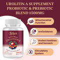 Urolithin a Supplement 1500Mg, 120 Softgels, Probiotic & Prebiotic Blend