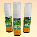 3 Pack, Herb Pharm Herbal Breath Refresher SPEARMINT 0.47 fl oz EA Bottle