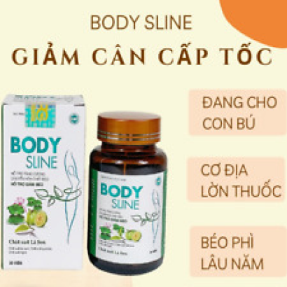 8x Giam can Body Sline Tea weight loss with 100% natural herbs Free ship