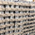6 Cans Ensure Milk Powder Vanilla 14 oz Expire 2025