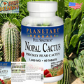 Full Spectrum Nopal Cactus 1000Mg Prickly Pear Cactus Antioxidant - 100% Natural