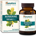 Berberine for Metabolism & Cholesterol Support, GI Support & Immune Support, 100