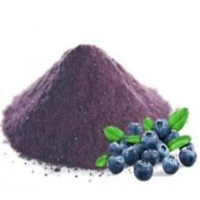 Blueberry 30:1 Extract Powder FREE SHIPPING