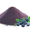 Blueberry 30:1 Extract Powder FREE SHIPPING