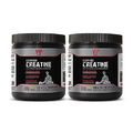 Strength Supplements - Pure German CREATINE Powder - MICRONIZED CREATINE MONOHYDRATE 300G 60 Servings - Muscle Building Supplements for Men