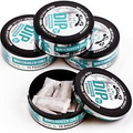 TeaZa Energy Healthy Dip Wintergreen Chill Herbal Energy Pouches 4 Pack