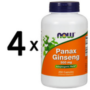(800 g, 143,23 EUR/1Kg) 4 x (NOW Foods Panax Ginseng, 500mg - 250 capsules)