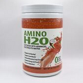 Amino H2O Elite BCAA With Advanced Electrolyte Matrix Wild Watermelon (9.17 oz)