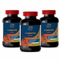 Metabolism Diet Supplements - L-Carnitine 500mg - L-Carnitine 500 3B