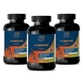 CarniPure L Carnitine - L-CARNITINE 500MG - Female Fat Burner - Healthy Mix - 3B