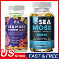 Sea Moss Gummies/Capsules Irish sea Moss raw Bladderwrack Burdock Root for Adult