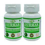 Morsan Nutraveda’s GYMNEMA SYLVESTRE (Gudmar, Gurmar) Extract Capsules | Highest Potency, 100% Herbal Product | Pack of 60 X 500 mg. Veg. Capsules (Pack of 2)