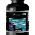 Glucosamine Sulfate Potassium - GLUCOSAMINE SULFATE 882mg  Improve Gut Health 1B