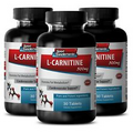 carnitine tablets - L-Carnitine 500mg - fat burning supplement 3B