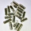 green tea extract - capsules