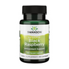 Swanson Full Spectrum Black Raspberry 425 mg 60 Capsules