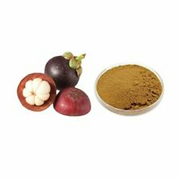 Mangostan-Pulver Perikarp 1,1 lb. | Reine keine Füllstoffe Antioxident Superfood