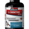 carnitine tablets - L-Carnitine 500mg - neuroprotective supplement 1B